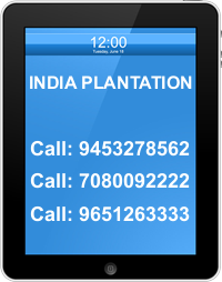 INDIA PLANTATION ORGANIZATION