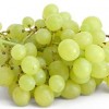 Advance booking of Plants Online - Image 8