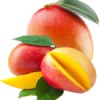 Mango Plants