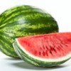 Advance booking of Plants Online - Image 11