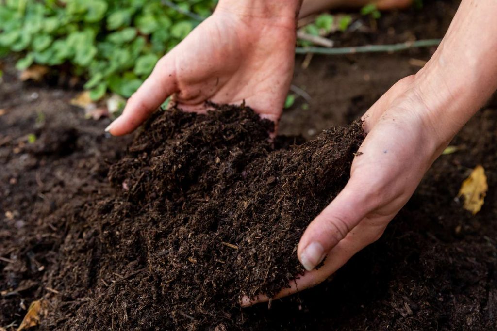 soil types in india